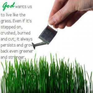 Grow stronger. quote by 'Poopsie'.