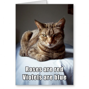 Funny Cat Poems