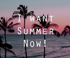 Tagged with love summer i want this