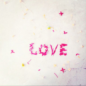 love flowers i love you quote