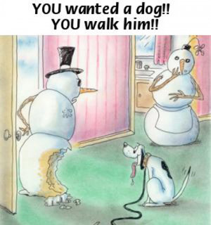 Unhappy Snowman