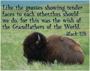 The words of Black Elk