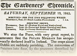 The Irish Potato Famine, 1847
