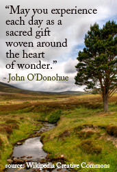 Quote by John O'Donohue