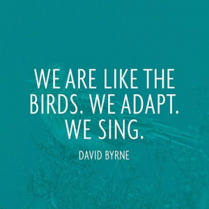 We are like the birds. We adapt. We sing.