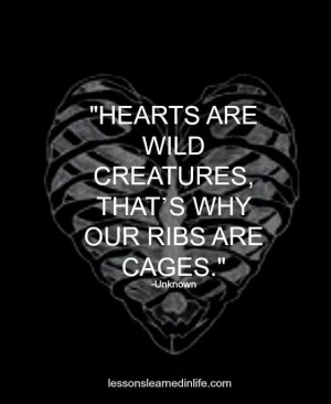 Wild hearts