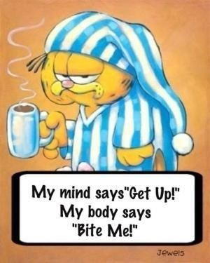 ... quotes quote morning garfield good morning morning quotes good morning