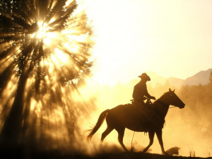 ... desktop wallpaper download cowboy horse sunset free wallpaper in hd