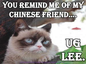 Grumpy Cat Quotes #GrumpyCat #Meme #Humor