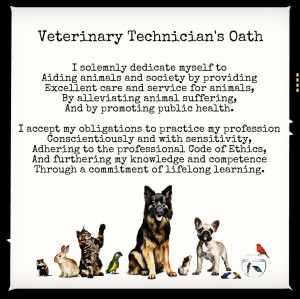 ... vet tech quotes funny calm down funny vet tech quotes vet tech quotes
