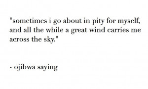 ... all the while a great wind carries me across the sky. ~ ojibwa saying