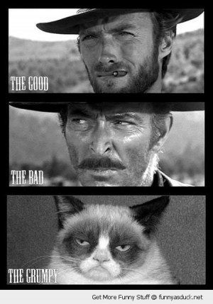 angry cat lolcat animal clint eastwood good bad grumpy western movie ...