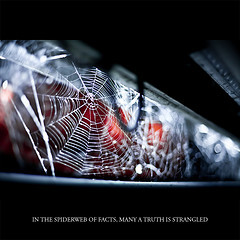 Quotes - 48 / 60 (B.Romain) Tags: city bridge light brussels night dof ...