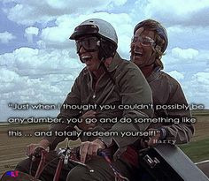 Quote from Dumb and Dumber