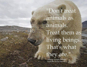 Treat animals as living beings...