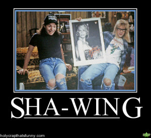 waynes world. i love this movie.. waynes world waynes world, part time ...