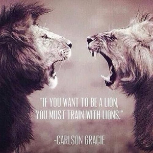 ... Carlson Gracie, Good Things, Fit Health, Instagram Quotes, Lion Quotes