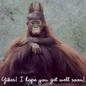 monkey get well soon Image