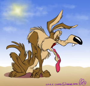 ... eternal battle of wile e coyote talks story behind the quote with
