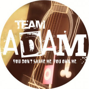 Where She Went by Gayle Forman