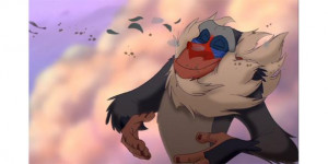 Rafiki (meaning friend) is a mandrill who assists the Lion King as the ...