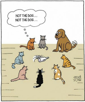 Spin the Bottle: NOT THE DOG... NOT THE DOG...