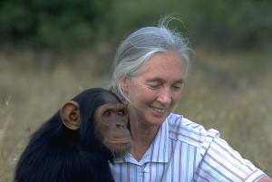 Jane Goodall , whose work on primates has led the way and given us ...