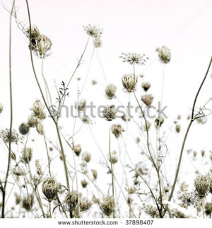 silhouette art background