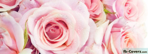 Cover Flowers Free Facebook Covers Red Roses Timeline