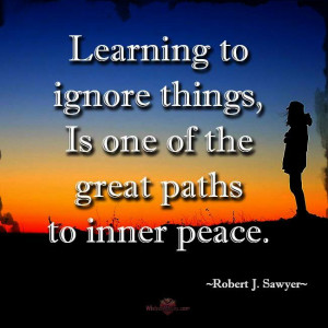 Learning to ignore things, is one of the great paths to inner peace ...