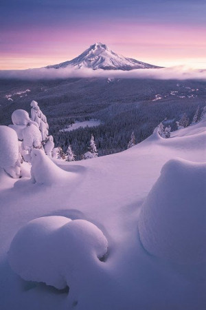 ... Winter Wonderland, Winter Bliss, Mount Hood, Portland Oregon, Mt Hoods