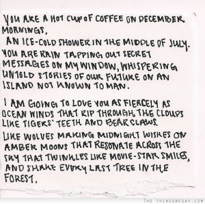 am going to love you as fiercely as ocean winds that rip through the ...