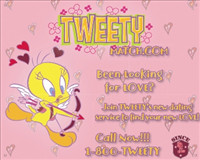 Tweety Bird Quotes Match>com-tweety bird