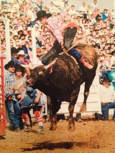 The great Lane Frost. Rest easy, Lane. You'll always be in our hearts ...