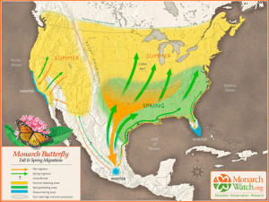 Monarch Butterfly Migration Route Map