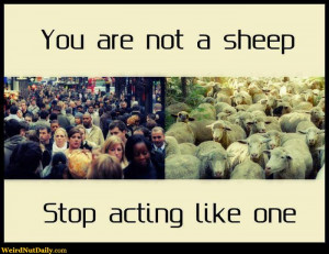 ... people and a herd of sheep: You are not a sheep, stop acting like one