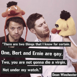 Most popular tags for this image include: bert, ernie, winchester ...