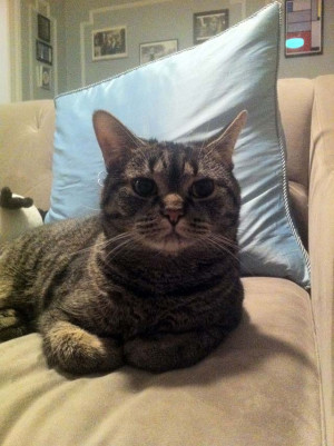 Bat Shit Crazy Happy Birthday