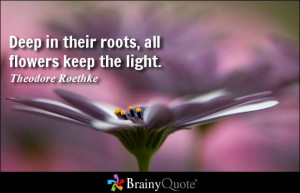 Deep in their roots, all flowers keep the light. - Theodore Roethke