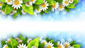 Flowery theme desktop background