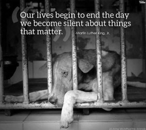 Our lives begin to end the day we become silent about things that ...