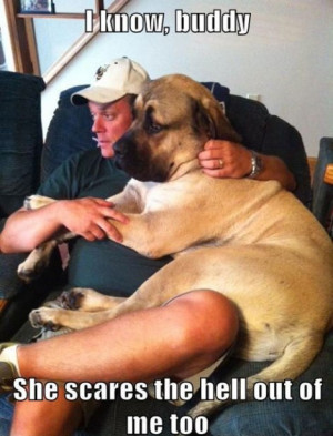 Did you like it? Feel free to share it: