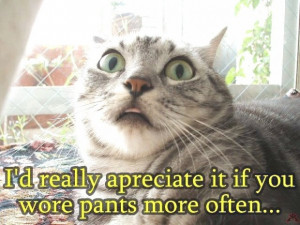 Related Pictures Images Collection Ghetto Quotes Funny Sayings Jokes