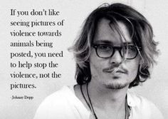 Animal quotes and animals lovers' quotes