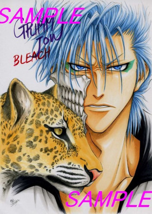 Grimmjow Jeagerjaques Grimmjow