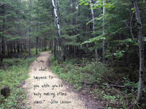 This past week we spent 5 blissful days at the cabin. There was no TV ...