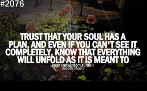 Trust that your soul has a plan, and even if you can't see it ...