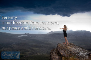 Serenity is not freedom from the storm, but peace amid the storm