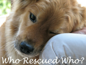 Inspirational Rescue Dog Quotes