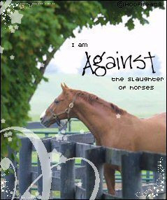 Stop-Horse-Slaughter-against-horse-slaughter-21718744-239-286.jpg